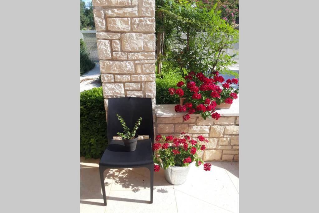 فيلا For Families Only - Casa Nora Novigrad Novigrad Istria المظهر الخارجي الصورة